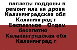 паллеты поддоны в ремонт или на дрова - Калининградская обл., Калининград г. Бесплатное » Отдам бесплатно   . Калининградская обл.,Калининград г.